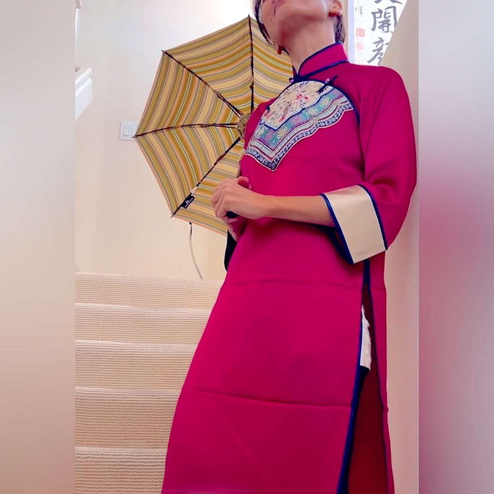 Vintage Asian embroidered Silk dress